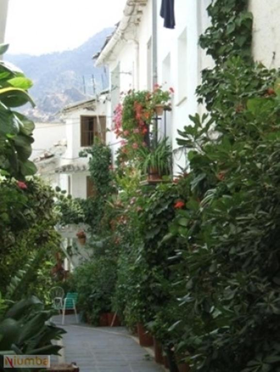 Apartament Vivienda Turistica Arabeluj Güéjar Sierra Zewnętrze zdjęcie